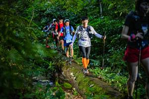 BIB: 9319
                            <button type="button" onclick="openModal(18922020)" class="btn btn-primary btn-sm float-right btn-popup" data-toggle="modal" data-target=".modal-high-quality">
                        <i class="fas fa-shopping-cart"></i> Add to Cart
                    </button>
                                            <button type="button" onclick="isThisMe(18922020, true)" class="btn btn-success btn-sm float-right btn-popup btn-isme hidden" data-toggle="tooltip" data-placement="bottom" title="นี่คือรูปของคุณใช่ไหม คลิกที่นี่เพื่อเอาเข้าอัลบั้ม">
                        <i class="fas fa-plus"></i> Add to album
                    </button>
                    <button type="button" onclick="isThisMe(18922020, false)" class="btn btn-warning btn-sm float-right btn-popup btn-isnotme hidden">
                        <i class="fas fa-ban"></i> Remove from album
                    </button>